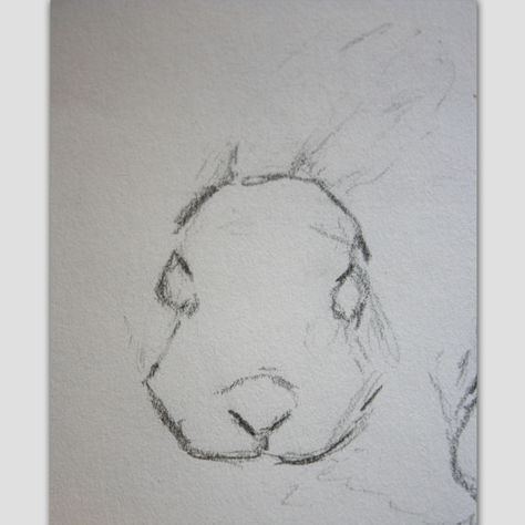 Bunny Nose Drawing, Rabbit Head Drawing, Drawings Of Rabbits, Bunny Book, Rabbit Drawing, Head Drawing, Rabbit Head, Nose Drawing, Bunny Head