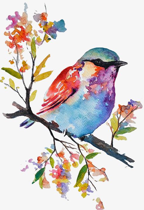 Akvarel Illustration, Bird Watercolor Paintings, Watercolor Paintings For Beginners, Watercolor Paintings Easy, 수채화 그림, Colorful Bird, Watercolor Paintings Tutorials, Watercolor Art Lessons, Bird Drawings