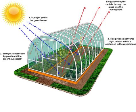 How Does a Greenhouse Work? - Essential Home and Garden Green House Model, Hydroponic Gardening System, Greenhouse Farming, Tunnel Greenhouse, School Science Projects, Garden Pond Design, Garden Tool Organization, Natural Farming, Indoor Greenhouse