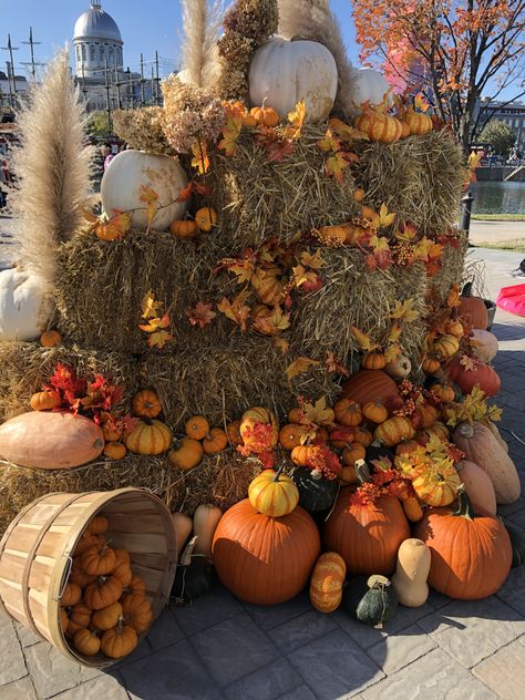 Office Pumpkin Patch Decor, Fall Photo Backdrop Diy Outdoor, Fall Fest Photo Booth Ideas, Fall Festival Entrance, Pumpkin Patch Display Ideas, Pumpkin Patch Display, Pumpkin Installation, Fall Hay Bale Display, Fall Displays Outdoor