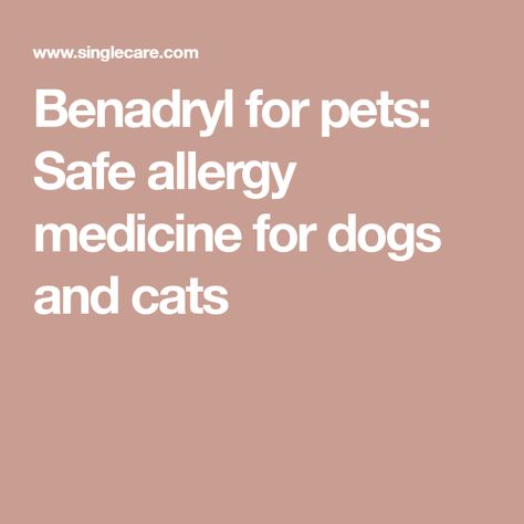 Benadryl for pets: Safe allergy medicine for dogs and cats Allergy Medicine For Dogs, Benadryl For Dogs, Best Allergy Medicine, Medicine For Dogs, Cat Medicine, Allergy Shots, Allergy Medicine, Cat Allergies, Pet Allergies