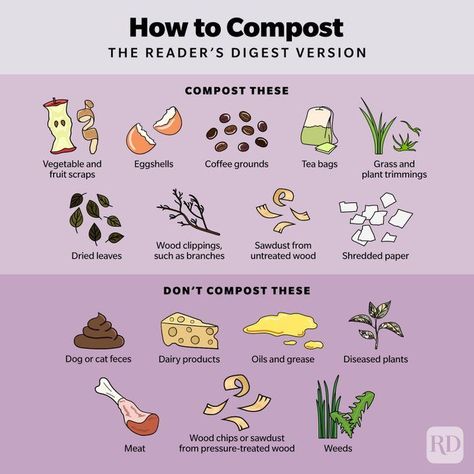 Make Compost, How To Compost, Compost Container, How To Make Compost, Bermuda Grass, Composting At Home, Pressure Treated Wood, Gardening Plants, Apple Seeds