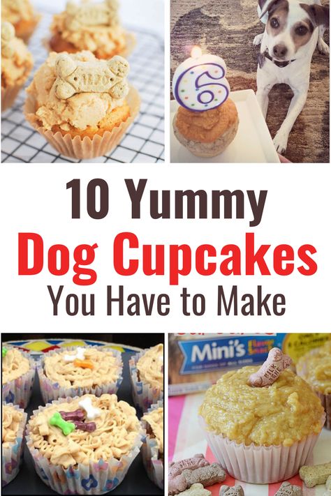 Cupcakes! Who doesn’t love these decadent, delicious treats? And now, cupcakes aren’t just for humans anymore. There’s a new thing just for your furbaby: pupcakes. If you're looking for a dog cupcake recipe, we have not one but 10 great options to try out. Pup Cupcakes Homemade Dog, Diy Dog Cupcakes Easy, Diy Dog Cupcakes, Dog Cake Mix Recipe, Doggie Cupcakes, Homemade Dog Muffins, Birthday Cupcakes For Dogs, Dog Safe Cupcakes Recipes, Healthy Dog Cupcake Recipe