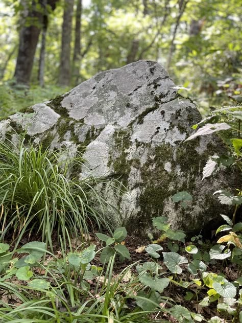 Rocks In Forest, Rocks In Nature, Rock Reference Photo, Rock In Forest, Mossy Skull, Swamp Shack, Celtic Aesthetic, Forest Rocks, Wet Forest