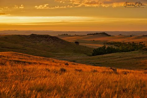 Golden Hour Landscape, Golden Hour Painting, Watercolor Animation, Hills Aesthetic, Golden Hour Lighting, Yellow Hills, Golden Landscape, Brown Landscape, Orange Field