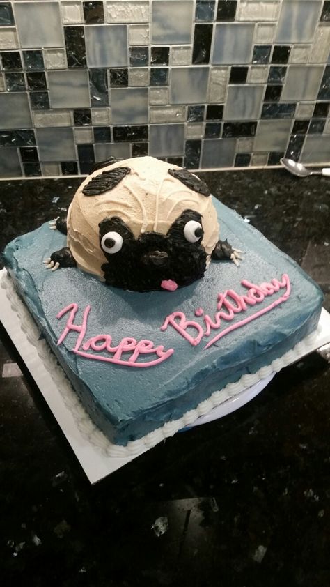 Chocolate peanut butter pug cake sept 2016 Pug Wedding Cake, Pug Cake Ideas, Pug Cakes, Pug Dog Cake, Pug Birthday Cake, Pug Wedding, Pug Cake, Pug Birthday, Birthday Party For Teens