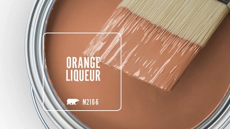 Orange Liqueur M210-6 | Behr Paint Colors Light Burnt Orange Paint, Soft Orange Paint Colors, Behr Orange Paint Colors, Living Room Paint Color Ideas Behr, Cozy Wall Colors, Burnt Orange Paint Colors, Light Orange Paint Colors, Orange Wall Color, Orange Bathroom Paint