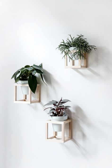 (Green) Thumbs Up: 23 Unique DIY Planters You'll Actually Want to Make - Paper and Stitch Dublin House, Diy Hanging Planter, Diy Wand, Creative Wall Decor, Hanging Plant Holder, Decor Ikea, Dekor Diy, Cardboard Art, Outdoor Diy