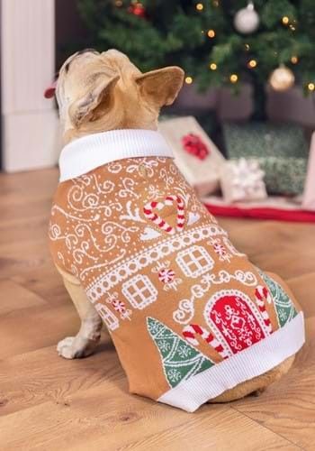 Gingerbread Sweater, Halloween Costumes Dog, Gingerbread Dog, Reindeer Pet, Dog Lion Mane, Sweater For Dogs, Elf Pets, Troll Costume, My Little Pony Costume