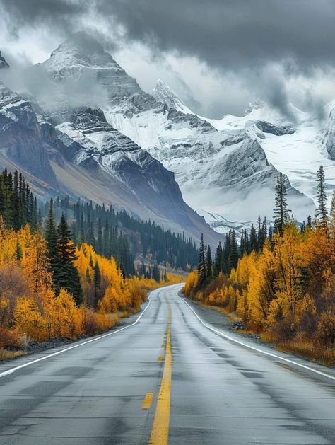 Albert Canada, Canadian Rockies, Magical Places, Rocky, Quick Saves