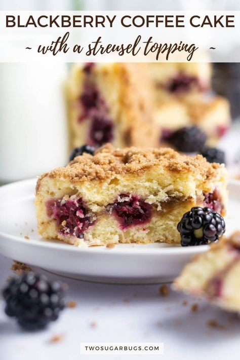 Blackberry Streusel, Blackberry Coffee Cake, Crumb Coffee Cakes, Streusel Cake, Breakfast Cakes, Crumb Cake Recipe, Light Dessert, Sour Cream Coffee Cake, Cinnamon Streusel