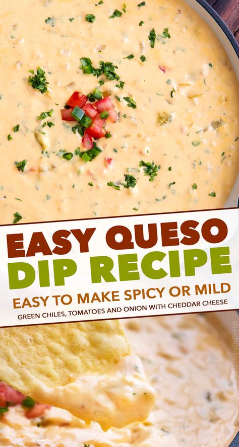 Mexican Cheese Dip, Mexican Appetizer, Velveeta Queso, Cheese Dip Mexican, Queso Dip Recipe, Chunky Chef, Appetizer Party, Sauce Spaghetti, Queso Dip Recipes