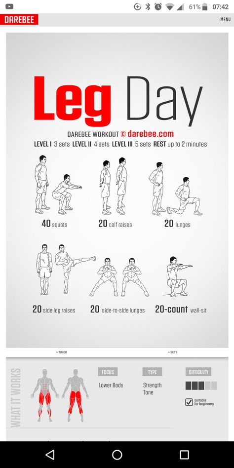 List Of Workouts Exercises, Easy Daily Workouts, Stamina Workout, Chemistry Between Two People, Quick Morning Workout, Calisthenics Workout Plan, Fighter Workout, Leg Day Workout, Gym Workout Guide