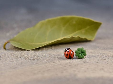 Lucky Ladybird Stud Earrings, Ladybug Clover Earrings, Titanium earrings, Cute miniature earrings, G Lucky Earrings, Cute Miniature, Good Luck Gifts, Titanium Earrings, Clover Earrings, Spring Jewelry, Mismatched Earrings, Summer Jewelry, Four Leaf Clover