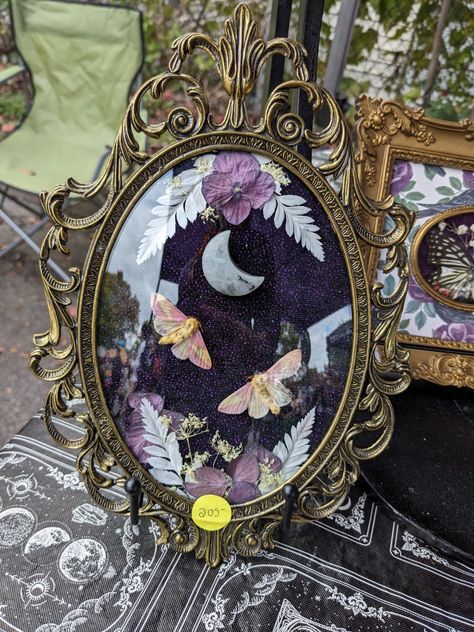 Fancy mirror frame with moths and plants Oddity Crafts, Mirror With Butterflies, Bug Display, Pinned Moth Display, Insect Pinning, Fancy Mirror, Moth Frame, Moth Shadow Boxes, Taxidermy Butterfly Wall