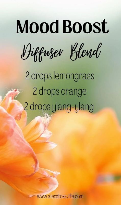 Lemongrass Diffuser Blends, Ylang Ylang Diffuser Blends, Ylang Ylang Essential Oil Benefits, Orange Essential Oil Blends, Essential Oils Energy, Yl Diffuser Blends, Perfume Blends, Diffuse Essential Oils, Essential Oil Perfumes Recipes