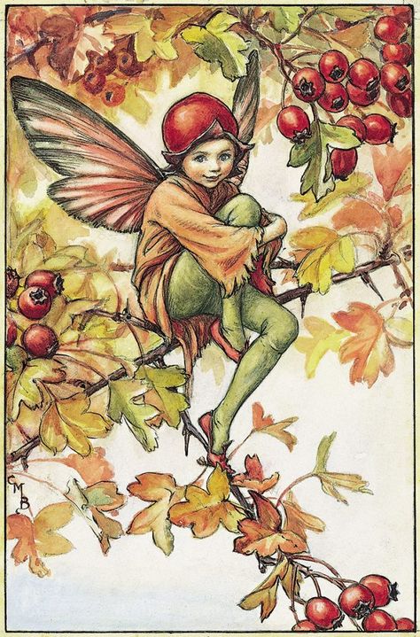 Fairy Autumn, Fae Realm, Fairy Flowers, Fairy Vintage, Cross Stitch Fairy, Fairy Paintings, Autumn Fairy, Fairy Artwork, Cicely Mary Barker