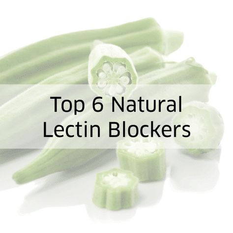 Lectin Free Foods Dr Gundry, Lectin Foods To Avoid, Steven Gundry Recipes, Lectins To Avoid, Gundry Diet Recipes Phase 1, Plant Paradox Diet For Beginners, Lectin Free Recipes Gundry, Dr Gundry Recipes Phase 1, Dr Gundry Diet Plan