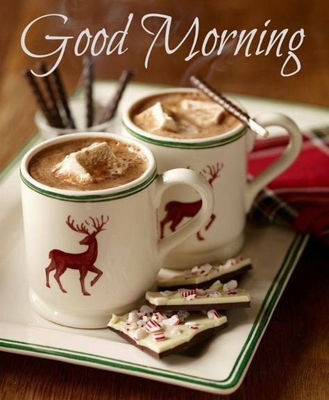 Good Morning quotes quote coffee morning good morning morning quotes good morning quotes morning quote Christmas Backgrounds, Winter Cocktails, Photos Aesthetic, Chocolate Caliente, Peppermint Bark, Noel Christmas, Baby It's Cold Outside, It's Cold Outside, Christmas Love