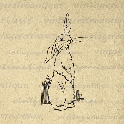 . Hase Tattoos, Bunny Artwork, 심플한 그림, Cute Bunny Rabbit, 동화 삽화, Printable Cute, Tiny Tattoo, Vintage Rabbit, Bunny Art