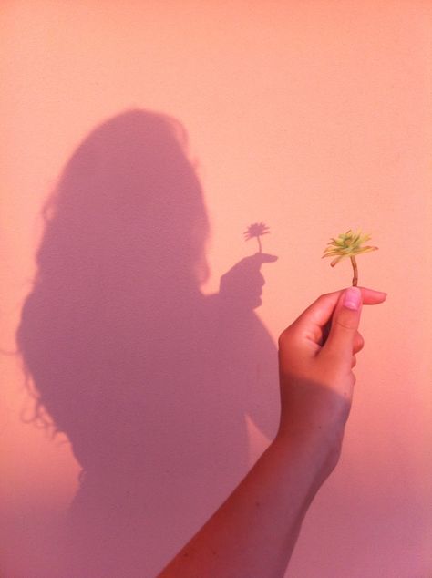 //Oliviasavidge Pink Wall, A Woman, Wall, Pink