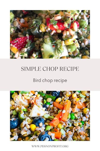 Cockatiel Food Recipes, Green Cheek Conure Food, Quaker Parrot Food, Cockatiel Chop Recipe, Budgie Food Recipes, Budgie Chop Recipes, Chop Recipes For Parrots, African Grey Parrot Food Recipes, Parrot Chop Recipes Bird Food