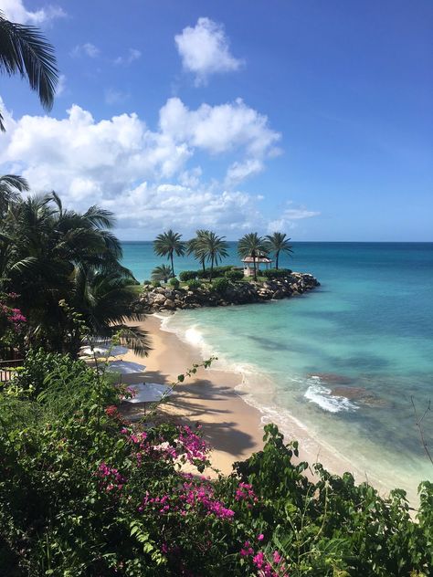 Tropical Tranquility in Antigua #BlueWatersHotel #Caribbean  #Antigua #Peaceful #Relax #Unwind #Views #Breathtaking #Tropical #Tranquility Antigua Sandals Resort, Antigua Caribbean, Royalton Antigua Resort And Spa, Antigua And Barbuda Travel, Pineapple Beach Club Antigua, Blue Water, Resort Spa, Spa, Hotel