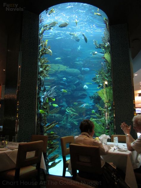 Tall Aquarium, Aquarium Restaurant, House Aquarium, Aquarium Architecture, Custom Aquarium, Big Aquarium, Amazing Aquariums, Underwater House, Chart House