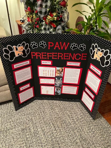 Paw Preference Veterinarian Poster Board Project, Science Fair Projects With Dogs, Dog Science Fair Projects, 8th Grade Science Fair Projects, Science Fair Poster, Elementary Science Fair Projects, Art Display Panels, Science Fair Board, Dog Science