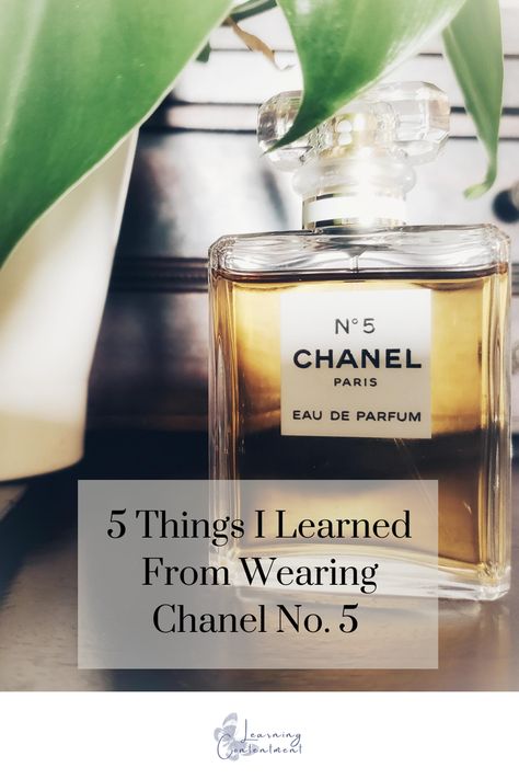 Chanel Old Fashion, Chanel No 5 Aesthetic, Chanel 5 Perfume, Coco Chanel Aesthetic, Chanel Number 5, Red Converse Shoes, French Clothes, Chanel No 5 Perfume, Chanel 5