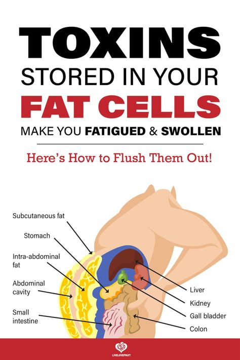 visual illustration of toxins stored in fat cells in body with text - toxins stored in your fat cells make you fatigued & swollen. Here's how to flush them out! Toxin Cleanse, Body Toxins, Makanan Diet, Abdominal Fat, Cleanse Your Body, Liver Health, Body Detox, Detox Your Body, Healthy Smoothie