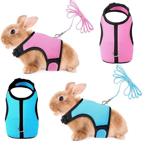 SATINIOR 2 Pieces Bunny Rabbit Harness with Leash Cute Adjustable Buckle Breathable Mesh Vest for Kitten Puppy Small Pets Walking (M, Blue, Pink) Medium Bunny Leash, Rabbit Harness, Bunny Harness, Bunny Accessories, Bunny Supplies, Baby Ferrets, Mesh Vest, Puppy Harness, Foster Kittens