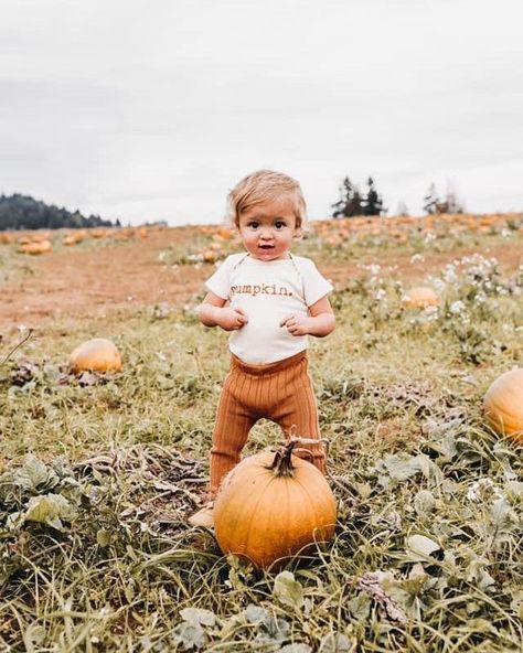 🎉RESTOCK ALERT🎉 Our Pumpkin design is fully restocked and ready to ship for your Pumpkins! 🍂 Pumpkin Patch Photoshoot Family Of 3, Pumpkin Patch Instagram, Baby Holiday Photos, Pumpkin Patch Photoshoot, Pumpkin Patch Pictures, Holiday Onesies, Newborn Family Photos, Baby First Halloween, Pumpkin Photos