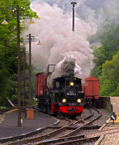 Railroad Bridge, Steam Engine Trains, Abandoned Train, Old Trains, Electric Train, Train Pictures, Train Engines, Train Car, All Aboard