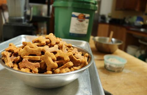 Recipe: Peanut Butter & Sweet Potato Dog Treats Sweet Potato Peanut Butter Dog Treats, Peanut Butter Sweet Potato, Sweet Potato Peanut Butter, Sweet Potato Dog, Sweet Potato Dog Treats, Potato Dog, Sweet Potato Black Beans, Peanut Butter Dog Treats, Organic Peanut Butter