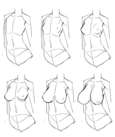 Tips For Drawing, Female Anatomy Reference, Human Body Drawing, Drawing Female Body, Anatomy Tutorial, Female Torso, Female Drawing, Body Drawing Tutorial, Human Anatomy Art