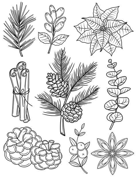 Winter Botanicals Procreate Stamps Brushes Winter Plant Drawing, Christmas Plants Drawing, Winter Flower Drawing, Winter Foliage Illustration, Christmas Botanical Illustration, Winter Flowers Illustration, Winter Tattoo Flash, Christmas Flowers Drawing, Winter Tattoos