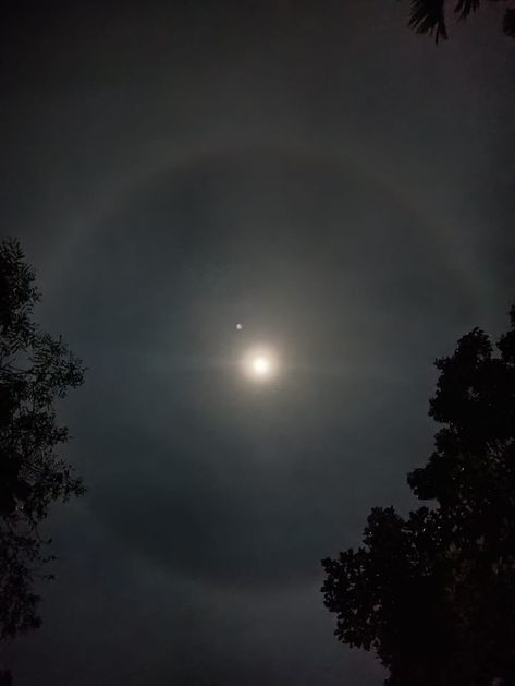 Lunar Halo Moon, Sky Phenomenon, Moon Portrait, Lunar Halo, Playlist Pictures, Moon Halo, Ring Around The Moon, Power Ideas, Bright Moon