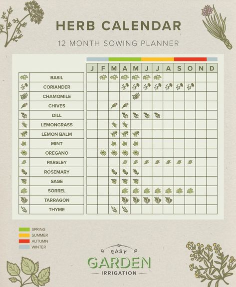 UK Herb Planting Calendar | Easy Garden Irrigation Herb Planting Calendar, Tarragon Plant, Herb Planting, Chamomile Plant, Planting Calendar, Sage Plant, Mint Plants, Drip Irrigation System, Perennial Herbs