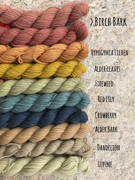 Natural dyeing yarn colors so many different colors using nothing but nature! Natural Fabric Dye, Dyeing Yarn, Natural Dyeing, Natural Dyes For Fabric, Natural Wool Dye, Tinta Natural, Natural Dyes For Yarn, Dye Wool Yarn, Diy Dye