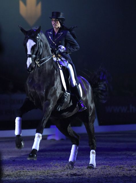 Great Britain, Birmingham - Horse of the Year Show. Katie Price Horse Of The Year Show, Show Hunter Horse, Horse Shows To Watch, English Horse Show Aesthetic, Jack Whitaker Showjumper, London International Horse Show, Dressage Horses, Professional Portrait, Show Jumping