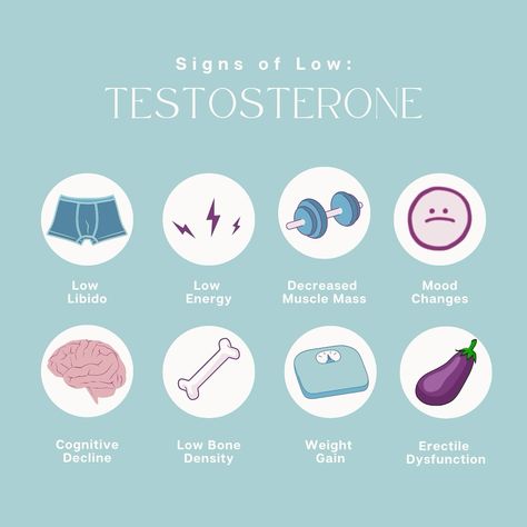 Tracking your hormones and keeping them balanced is crucial for so many different aspect of your health. 💪🏼 Hormones like testosterone help to regulate energy levels, mood, muscle mass, and sexual health. 🙋‍♂️For men, maintaining optimal testosterone levels is particularly important, as it influences everything from physical strength to cognitive function. As men age, testosterone levels naturally decline, which can lead to a range of issues such as fatigue, reduced libido, and decreased ... How To Balance Hormones, High Testosterone, Balance Hormones, Physical Strength, Testosterone Levels, Hormone Health, Hormone Balancing, Muscle Mass, Energy Level