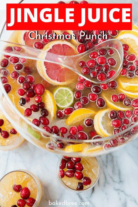 Jingle Juice Punch is an adult beverage to serve up family this holiday season. Give this party punch recipe a try this Christmas. A variety of alcohol, juices, cranberry and more. #drink #alcohol #punch #party #liquor #boozy #recipe Christmas Punch With Vodka, Punch With Vodka, Alcoholic Christmas Punch, Easy Christmas Punch, Non Alcoholic Christmas Punch, Holiday Punch Recipe, Christmas Drinks Alcohol Recipes, Christmas Party Drinks, Alcoholic Punch Recipes