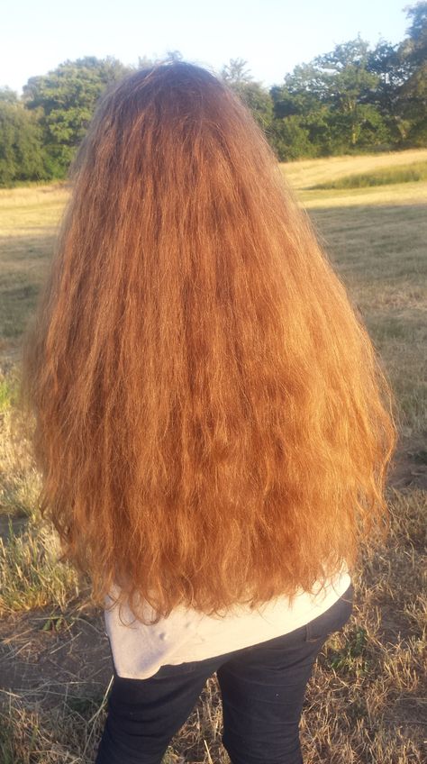 Wild Curly Hair, Long Straight Ponytail, Long Hair Ponytail, Story Planning, Straight Ponytail, Beautiful Curly Hair, Long Red Hair, Hair Model, Hairstyles For Curly Hair