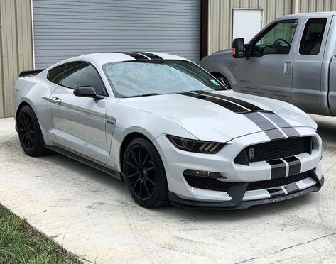 Ford Mustang Shelby Shelby F150, Mustang Gt500, Ford Mustang Shelby Gt500, Dream Cars Jeep, Shelby Gt, Exotic Sports Cars, Ford Mustang Shelby, Mustang Cars, Classy Cars