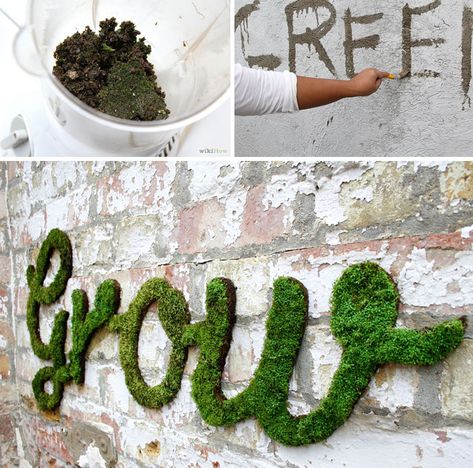 Moss graffity To get started you’ll need: 3 cups of moss (washed clean of soil) 2 cups buttermilk OR 2 cups of yogurt (should be plain yogurt) 2 cups of water or beer 1/2 tsp of sugar corn syrup (optional) A blender that you probably won’t want to use other than for this. Moss Graffiti, Moss Wall Art, Moss Art, Moss Wall, Garden Yard Ideas, Diy Signs, Cool Diy Projects, Shade Garden, Cool Diy