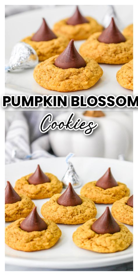 Pumpkin Blossom Cookies Pumpkin Blossom Cookies, Pumpkin Kiss Cookies, Halloween Blossom Cookies, Cookie Blossoms, Stuffed Pumpkin Blossoms, Pumpkin Blossom Recipe, Pumpkin Hershey Kiss Cookies, Cookie Recipes Hershey Kiss, Hersey Kiss Blossoms