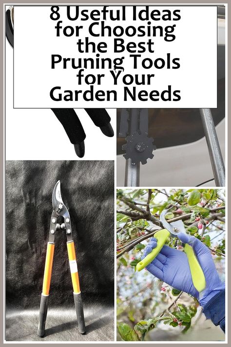 Discover the essential guide to selecting the best pruning tools for your garden needs! In our latest post, "8 Useful Ideas for Choosing the Best Pruning Tools for Your Garden Needs," we explore top features, materials, and styles to help you make informed choices. Whether you're a seasoned gardener or a beginner, finding the right tools can transform your gardening experience. Click to learn how to enhance your garden's health and beauty! Pruning Tools, Useful Ideas, Health And Beauty, Good Things, Tools, Health, Beauty