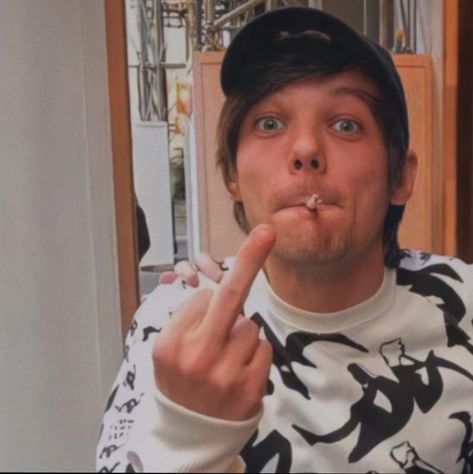 Louis Tomlinson Middle Finger, Flipping People Off, Rude Finger, Paz Hippie, The Tommo Way, One Direction Art, Harry Styles Louis Tomlinson, Harry And Louis, I Dont Like You