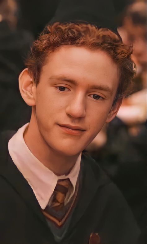 Percy Weasley Face Claim, Harry Potter Percy Weasley, Slytherin Characters, Harry Potter Neville, Charlie Weasley, Harry Potter Wallpaper Backgrounds, Harry Potter Goblet, Percy Weasley, Weasley Aesthetic